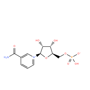 β-烟酰胺单核苷酸,β-Nicotinamide Mononucleotide