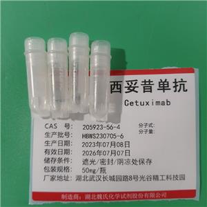 西妥昔單抗,Cetuximab