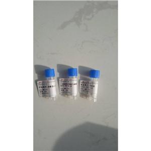 Antifreeze Polypeptide 6 (winter flounder) trifluoroacetate salt