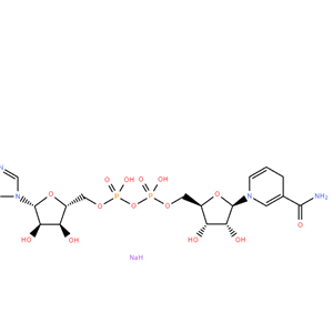 Beta-烟酰胺腺嘌呤二核苷二钠,beta-Nicotinamide adenine dinucleotide disodium salt