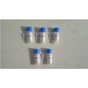 N-Acetyl Cholecystokinin, CCK (26-30), Sulfated,N-Acetyl Cholecystokinin, CCK (26-30), Sulfated