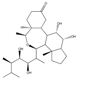 表油菜素內(nèi)酯,Epibrassinolide