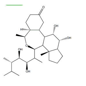 芸苔素内酯,Brassinolide