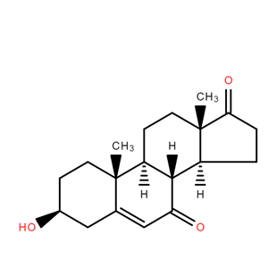 7-酮基去氢表雄酮,7-Keto-dehydroepiandrosterone