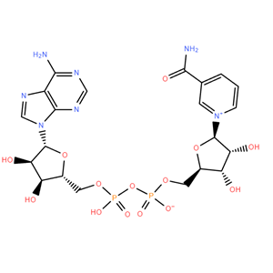 烟酰胺腺嘌呤二核苷二钠