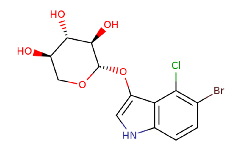 5-溴-4-氯-3-吲哚基-β-D-吡喃木糖苷,5-Bromo-4-chloro-3-indoxyl-β-D-xylopyranoside