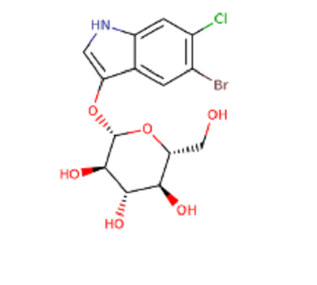 5-溴-6-氯-3-吲哚基-β-D-吡喃葡萄糖苷,5-Bromo-6-chloro-3-indolyl β-D-glucopyranosideMagenta-β-D-Glc