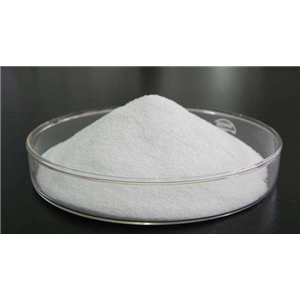 6234-01-1；L-谷氨酸-5-叔丁酯-1-甲酯盐酸盐