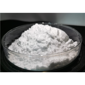 2-氟-5-(4-氧代-3,4-二氢酞嗪-1-甲基)苯甲酸,2-Fluoro-5-(4-oxo-3,4-dihydrophthalazin-1-ylmethyl)benzoic acid