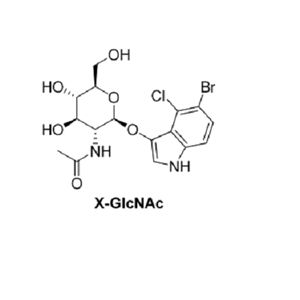 5-溴-4-氯-3-吲哚基-N-乙酰-β-D-氨基葡萄糖苷,5-Bromo-4-chloro-3-indolyl-N-acetyl-β-D-glucosaminide  X-β-D-GlcNAc