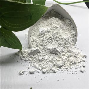 鈦白粉,Titanium Dioxide