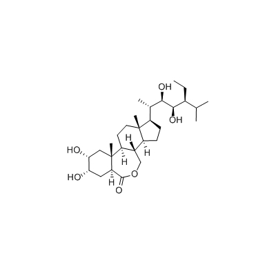 28-高蕓苔素內(nèi)酯,28-Homobrassinolide