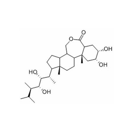 24-表油菜素內(nèi)酯,24-Epicastasterone