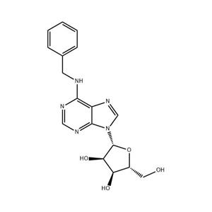 6-苄氨基嘌呤核苷 4294-16-0