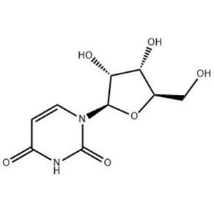 尿苷,Uridine