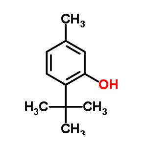 6-叔丁基间甲酚 CA等抗氧剂中间体 88-60-8