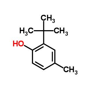 2-叔丁基-4-甲基苯酚 有机合成中间体 2409-55-4