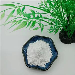 盐酸利多卡因,Lidocaine hydrochloride