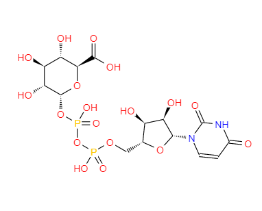 UDP葡萄糖醛酸,Uridine Diphosphate Glucuronic Acid
