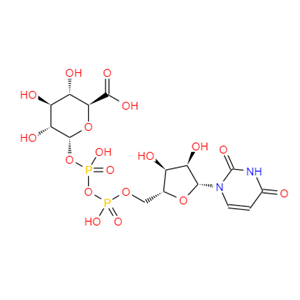UDP葡萄糖醛酸,Uridine Diphosphate Glucuronic Acid