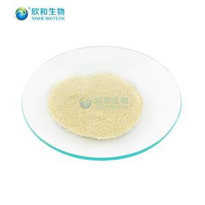 花生四烯酸,Arachidonic acid