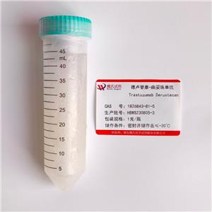 德卢替康-曲妥珠单抗,Trastuzumab Deruxtecan