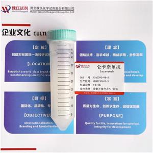 侖卡奈單抗,Lecanemab