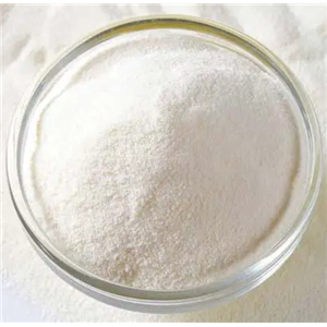 达比加群乙基酯,Dabigatran ethyl AcOH Salt
