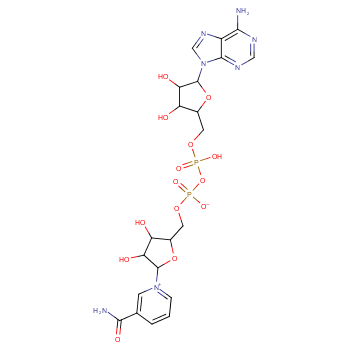 β-烟酰胺腺嘌呤二核苷酸,Adenosine5'-(trihydrogen diphosphate), P'?5'-ester with 3-(aminocarbonyl)-1-b-D-ribofuranosylpyridinium, inner salt