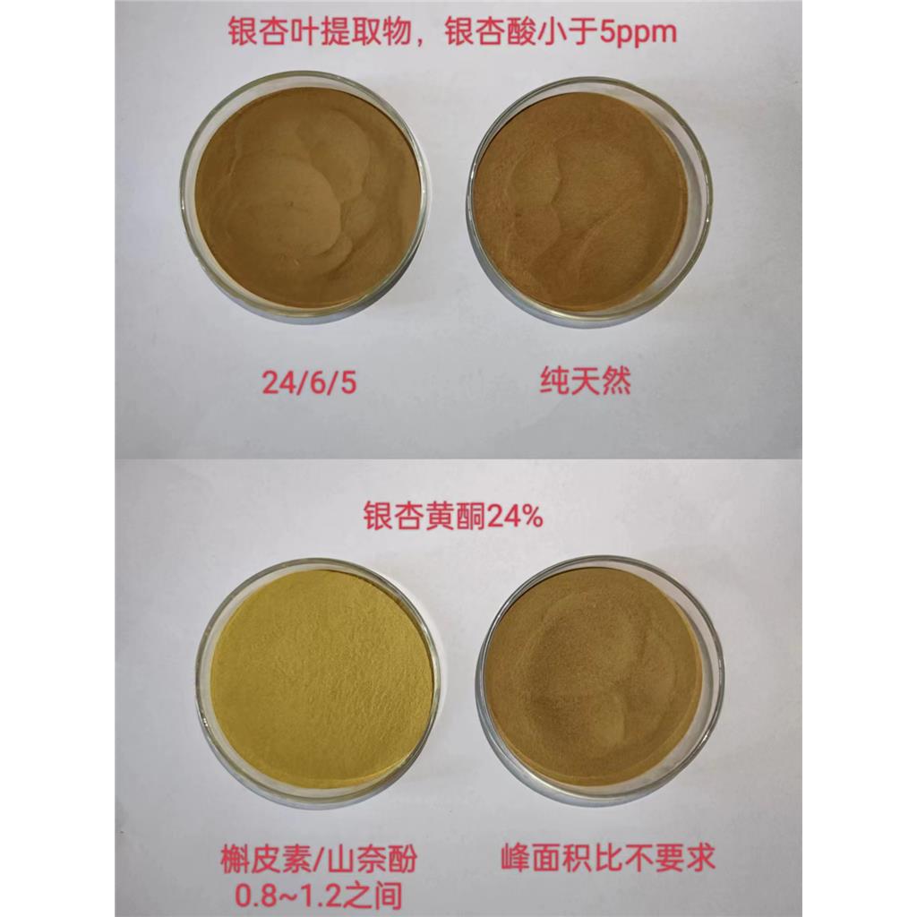 银杏叶提取物,Ginko Biloba Extract