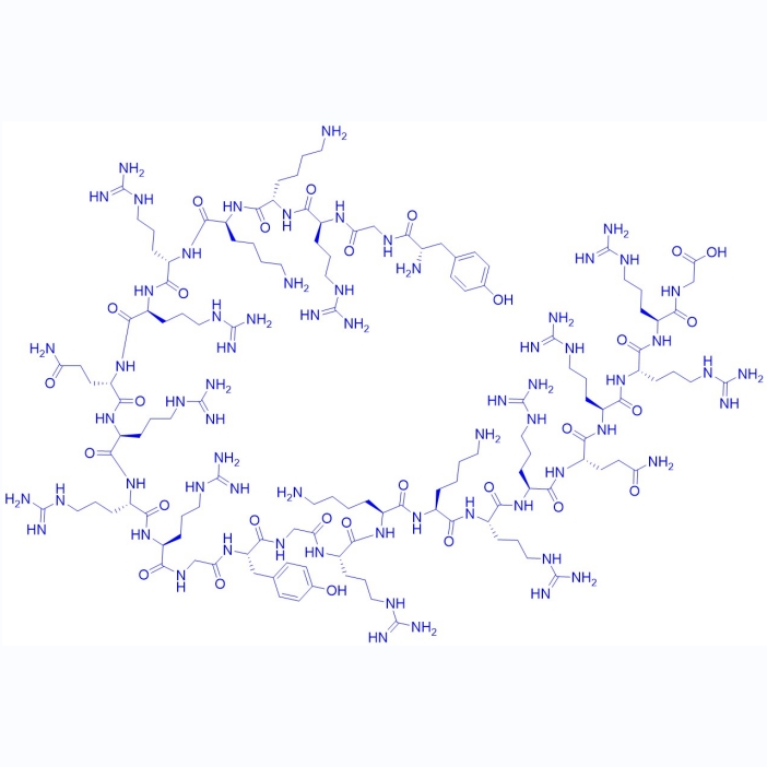 HIV-1 反式激活因子 (Tat)多肽,TAT 2-4