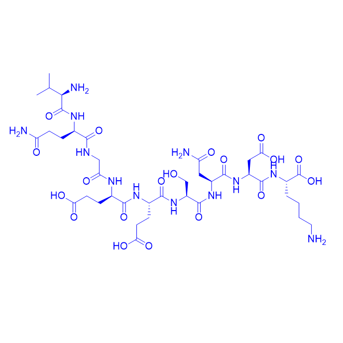 β-白介素 I (163-171),β-Interleukin I (163-171), human