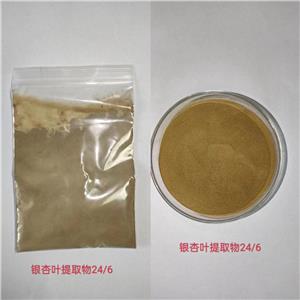 银杏叶提取物,Ginko Biloba Extract