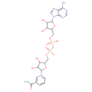 β-烟酰胺腺嘌呤二核苷酸,Adenosine5