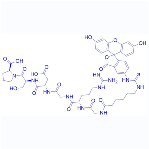 荧光标记RDG多肽/2022956-44-9/FITC-εAhx-Gly-Arg-Gly-Asp-Ser-Pro-OH
