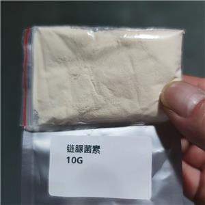 链脲菌素,Streptozocin