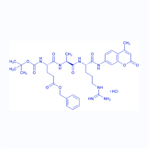 荧光底物多肽Boc-E(OBzl)AR-AMC/133448-25-6/Boc-Glu(OBzl)-Ala-Arg-AMC·HCl