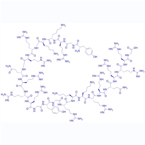 HIV-1 反式激活因子 (Tat)多肽,TAT 2-4