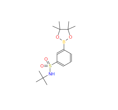 3-叔丁氨基苯磺酸頻哪醇酯,3-(tert-butylaMino)sulfonyl-phenylboronic acid pinacol ester