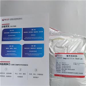 氨苄青霉素钠,Ampicillin Na