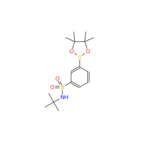 3-叔丁氨基苯磺酸频哪醇酯