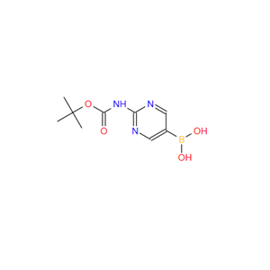 [2-(叔丁氧羰基氨基)嘧啶-5-基]硼酸