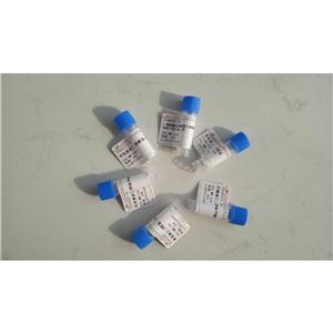 Relaxin H2 (human) trifluoroacetate salt