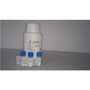 (Tyr)-Melanocyte-Stimulating Hormone-Release Inhibiting Factor