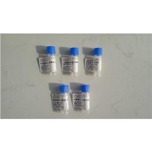 Leptin (116-130) (human) trifluoroacetate salt