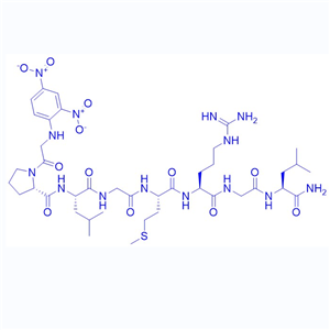 底物多肽MMP-13, Substrate/1872435-02-3/MMP-13, Substrate