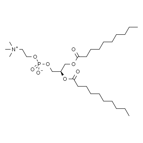 1,2-二癸酰-Sn-甘油-3-磷酰膽堿,1,2-Didecanoyl-Sn-Glycero-3-Phosphocholine