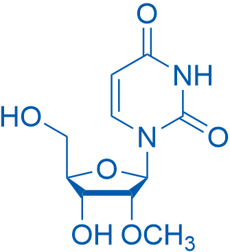 1-((2R,3R,4R,5R)-4-羥基-5-(羥甲基)-3-甲氧基四氫呋喃-2-基)嘧啶-2,4(1H,3H)-二酮,1-((2R,3R,4R,5R)-4-Hydroxy-5-(hydroxymethyl)-3-methoxytetrahydrofuran-2-yl)pyrimidine-2,4(1H,3H)-dione