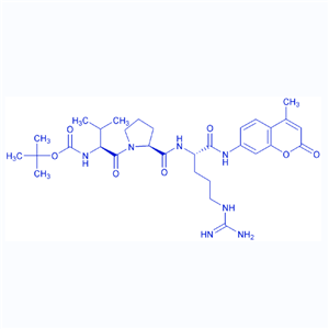 胰凝乳蛋白酶荧光底物多肽Boc-VPR-AMC/65147-04-8/Boc-Val-Pro-Arg-AMC