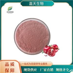 西安嘉天供应石 榴果粉99% 喷雾干燥 食品级 红石榴果粉 石榴提